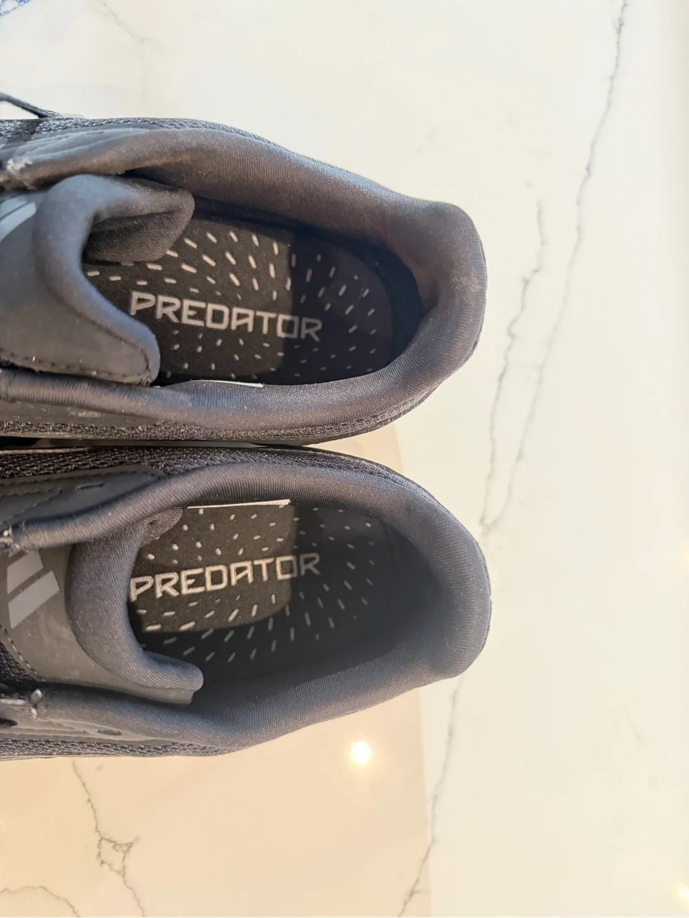 adidas predator club